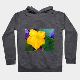 Pumpkin Blossom Hoodie